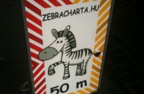 Zebracharta